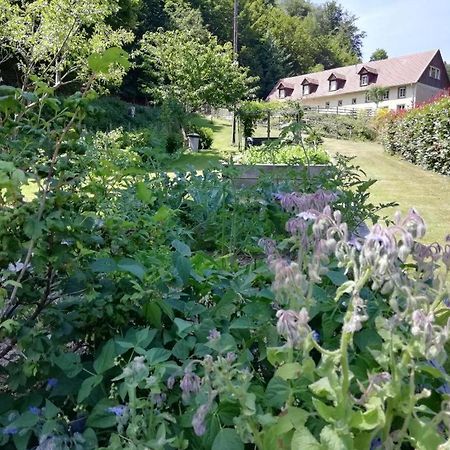 La Climontaine Panzió Urbeis Kültér fotó