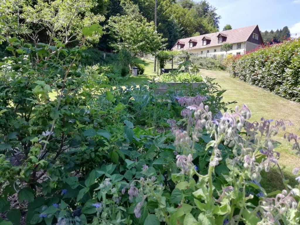 La Climontaine Panzió Urbeis Kültér fotó